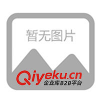 供應(yīng)MP3、MP4白色環(huán)保充電器(圖)